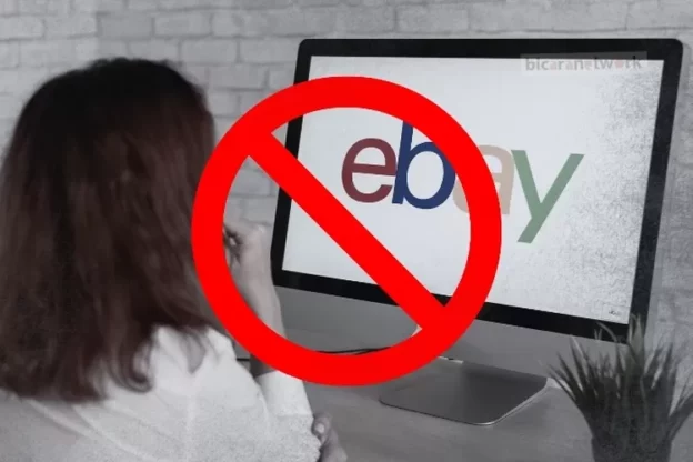 Komdigi Blokir eBay ! Apakah Masalah PSE ?