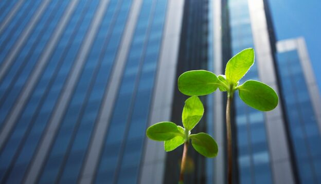 ESG and Green Finance in Toronto: Where to Invest Sustainably
