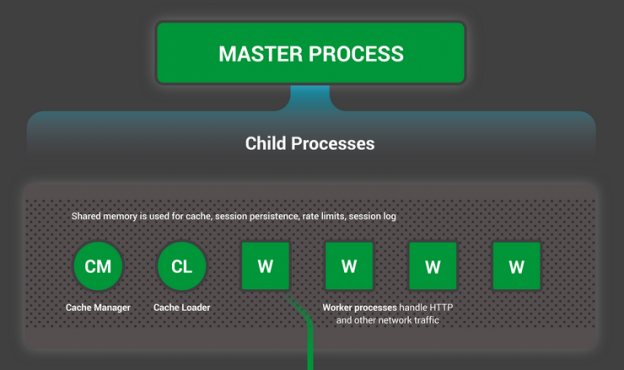 Nginx Engine: Understanding the Request Processing Flow