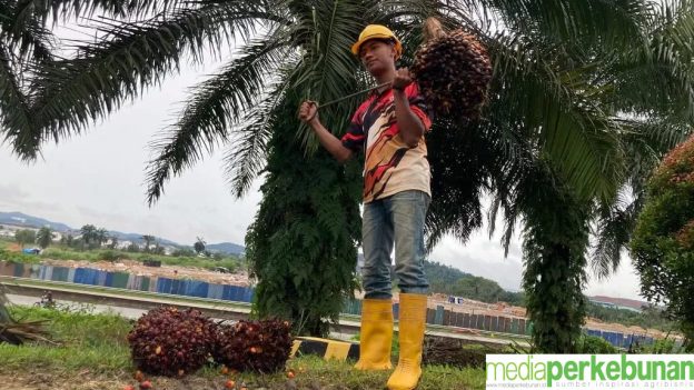 10 Pekerjaan TKI di Malaysia yang Populer dan Bergaji Luamayan