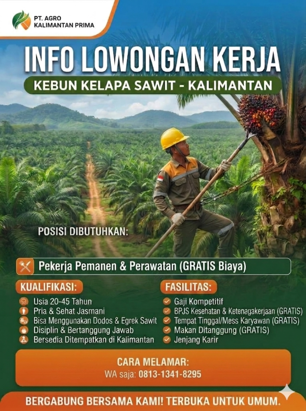 AKAD Lowongan Kerja Kalimantan Kelapa Sawit Pemanen (GRATIS)